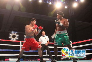 2015世界拳擊聯賽三亞落幕 中國龍不敵墨西哥勇士，拳擊賽事組織迎發展契機